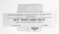 Montanelia sorediata image